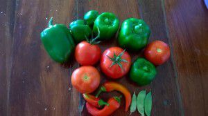 One mornings harvest from my garden. The capsicums went brilliantly in a stir-fry that night! Yum!