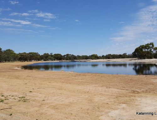 Piesse Lake Makeover