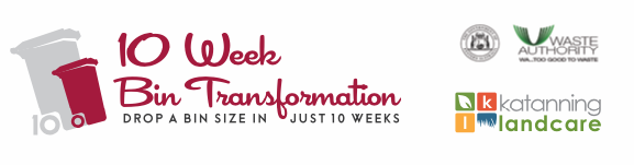 10 week bin transformation logos